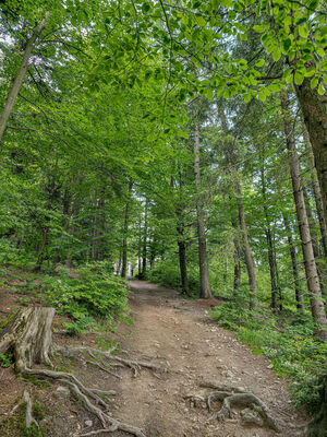 Ostatnie podejście na Lubomir
