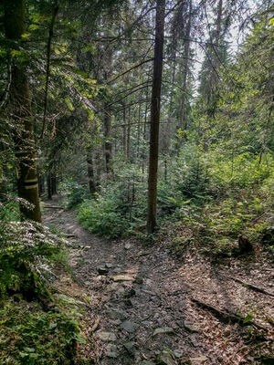 Czarny szlak na Lubomir