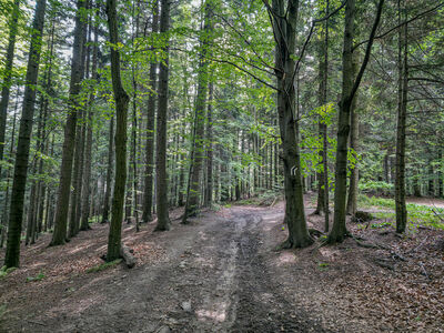 Czarny szlak na Lubomir