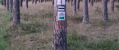 Rozejście szlaków ↔ Mężyk