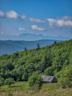 Polana Skalne z widokiem na Tatry