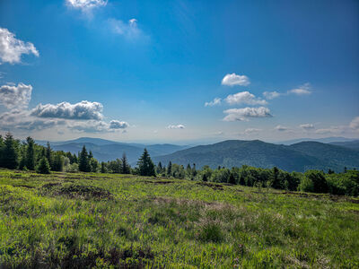 Widok z kierunku Radziejowej z Polany Skalne