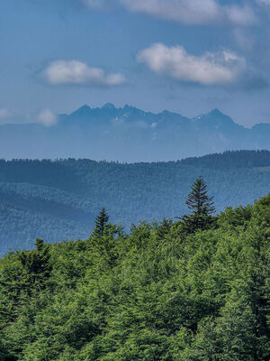 Tatry z Polany Skalne