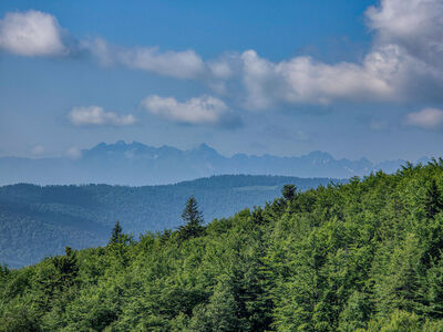 Tatry z Polany Skalne