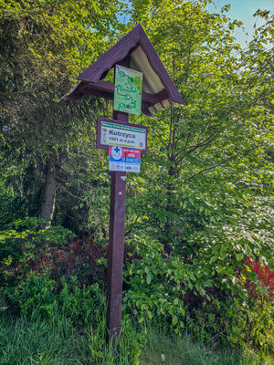 Kutrzyca 1051 m n.p.m.