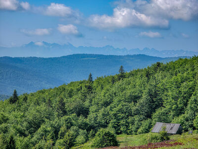 Tatry z Polany Skalne