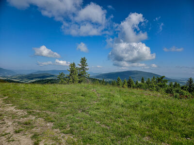 Ćwilin z Polany Łąki