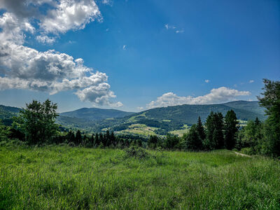 Polna droga z Kobylicy w kierunku Lubomierza