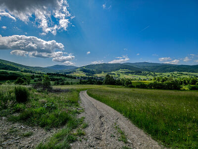 Polna droga z Kobylicy w kierunku Lubomierza
