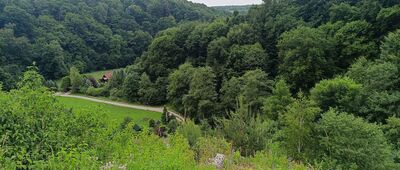 Wieszczy Dół ↔ Początek ścieżki spacerowej