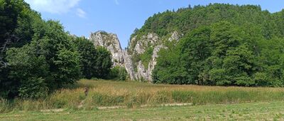 Bolechowice, rozejście szlaków ↔ Będkowice