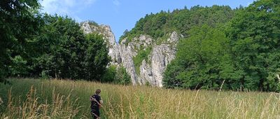 Bolechowice, rozejście szlaków ↔ Będkowice