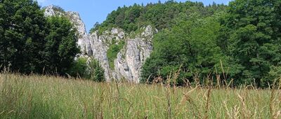 Bolechowice, rozejście szlaków ↔ Będkowice