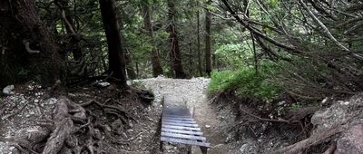 Medziholie ↔ Veľký Rozsutec, rázc.