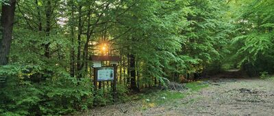 Cubla Góra [Pod Cublą Górą (maj 2025)]