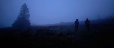 Polana Stumorgowa [Polana Stumorgowa - odbicie na ścieżkę dydaktyczną (maj 2025)]