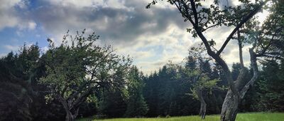 Polana u Błazka [Polana u Błazka (2025-05-31)]