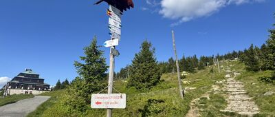 Schronisko PTTK Odrodzenie, skrzyżowanie