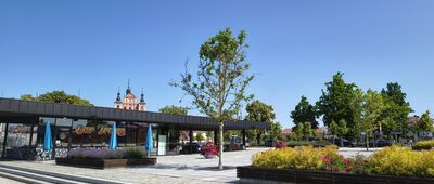 Janów Lubelski [Janów Lubelski]