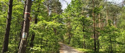 Janów Lubelski, zalew ↔ Uroczysko Kruczek