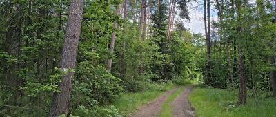 Uroczysko Kruczek ↔ Janów Lubelski, Cegielnia