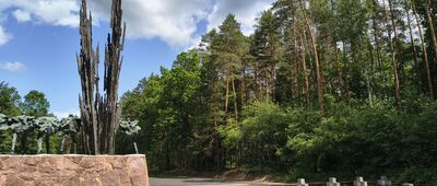 Janów Lubelski, Cegielnia ↔ Porytowe Wzgórze [Cmentarz partyzantów przy pomniku]