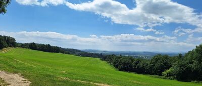 Skrzyżowanie nad Niemczą