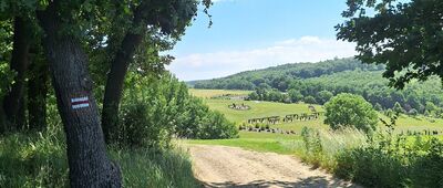 Przełęcz nad Wojsławicami ↔ Skrzyżowanie nad Niemczą