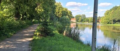 Niemcza, droga nr 8 ↔ Niemcza