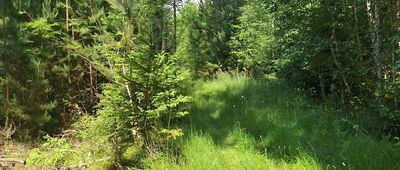 Wambierzyce, plac ↔ Golec