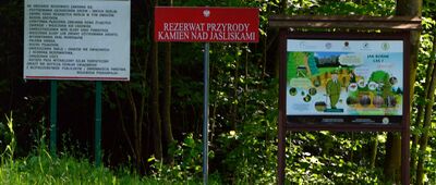 Czeremcha ↔ Rezerwat Kamień nad Jaśliskami