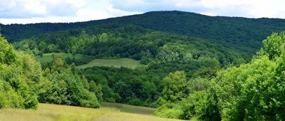 Kút ↔ Przełęcz Beskid nad Czeremchą