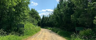 Czeremcha ↔ Czeremcha, skrzyżowanie