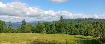 Hala Boracza ↔ Polana Cukiernica