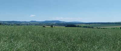 Česká Metuje, železniční stanice ↔ Samaritánka, prameň