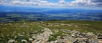 Babia Góra (Diablak)