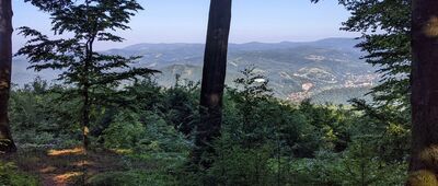 Rozejście szlaków [Beskid Śląski - po prawej Wisła, po lewej Skrzyczne - widok ze szlaku Czantoria - Wisła]