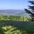 Beskid Śląski - Peździonka - widok w kierunku Baraniej Góry