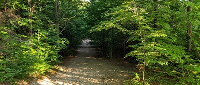 Światowid ↔ Przełęcz Beskidek [Beskid Śląski - na granicznym szlaku Czantoria - Przełęcz Beskidek]