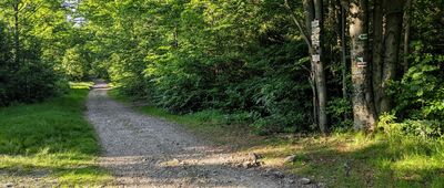 Przełęcz Beskidek [Beskid Śląski - Przełęcz Beskidek na szlaku Czantoria-Wisła]