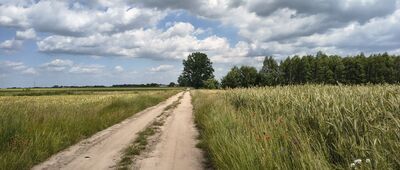 Samoklęski, Kolonia Druga ↔ Markuszów