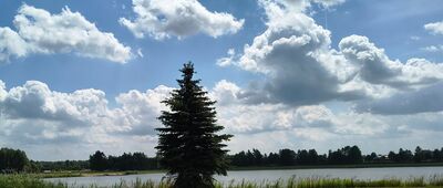 Samoklęski, Kolonia Druga ↔ Markuszów