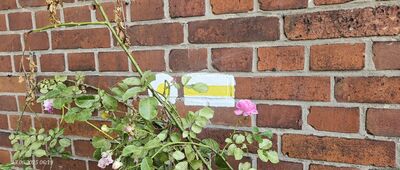 Ostroróg, ul. Dworcowa [Początek szlaku na budynku dawnego dworca kolejowego w Ostrorogu]