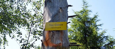 Pod Kłodzką Górą ↔ Przełęcz Kłodzka