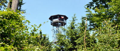 Jedlak ↔ Kłodzka Góra