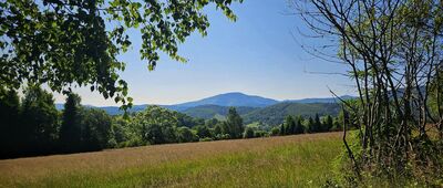 Rozejście szlaków ↔ Sól, remiza