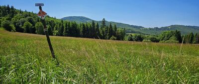 Przełęcz Graniczne