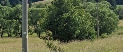 Nowy Miłków ↔ Skrzyżowanie pod Gruntową [Szukaj szlaku w polu...]