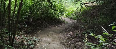 Melsztyn ↔ Zawada Lanckorońska