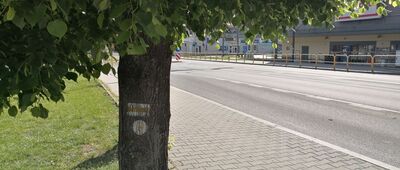 Chrzanów [Zmiana przebiegu - początek Szlaku Dolinek Jurajskich #WNSz]